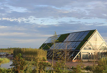 上海東灘濕地公園