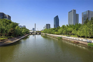 城市黑臭水體整治環(huán)保專項(xiàng)行動(dòng)發(fā)現(xiàn)的突出問(wèn)題