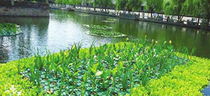 我公司想上一個(gè)污水處理項(xiàng)目，制訂技術(shù)方案時(shí)需要提供哪些資料？