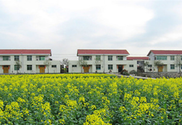 上海浦東書(shū)院鎮(zhèn)村莊污水處理