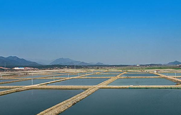  養(yǎng)殖尾水治理方案